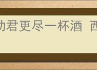 劝君更尽一杯酒 西出阳关无故人的意思