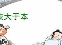 枝大于本