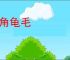 兔角龟毛