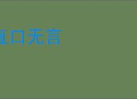 直口无言