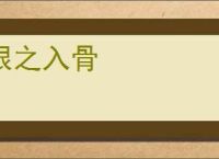 恨之入骨