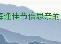 每逢佳节倍思亲的上一句是什么
