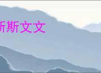 斯斯文文