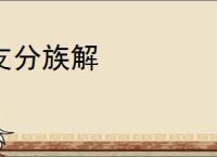 支分族解