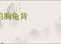 鸡胸龟背