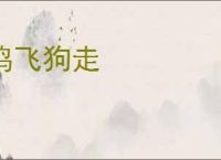 鸡飞狗走