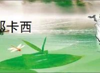 那卡西