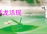 活龙活现