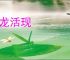 活龙活现