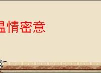 温情密意