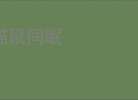 猫鼠同眠