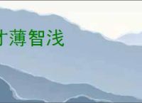 才薄智浅