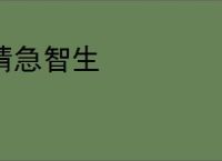 情急智生