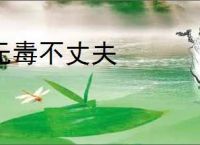 无毒不丈夫