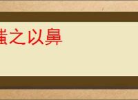 嗤之以鼻