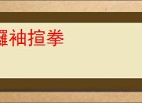 攞袖揎拳