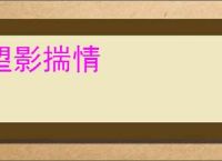 望影揣情