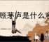 三顾茅庐是什么意思