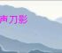 枪声刀影
