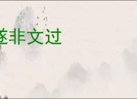 遂非文过