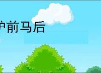 驴前马后