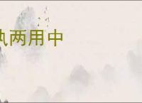 执两用中