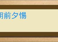 朝前夕惕