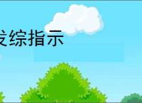 发综指示