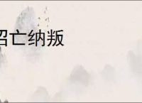 招亡纳叛