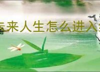 未来人生怎么进入纳罗迪亚,未来人生可继承物品一览