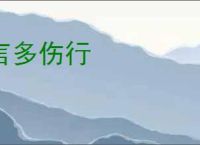 言多伤行
