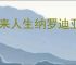 未来人生纳罗迪亚选什么导师好,未来人生导师推荐分享