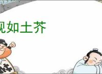 视如土芥