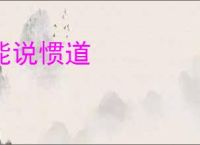 能说惯道