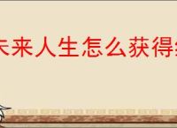 未来人生怎么获得纳罗迪亚许可,未来人生纳罗迪亚许可有什么用