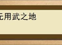 无用武之地
