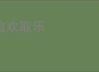追欢取乐