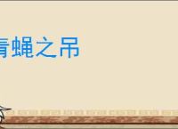 青蝇之吊
