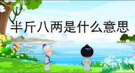 半斤八两是什么意思