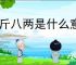 半斤八两是什么意思