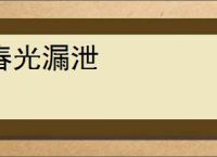 春光漏泄