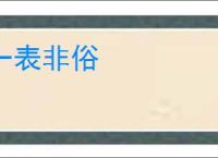 一表非俗
