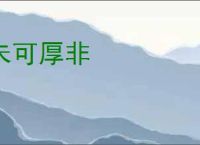 未可厚非