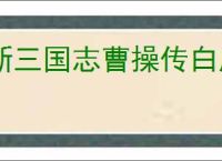 新三国志曹操传白虎副本第一关攻略,新三国志曹操传四象白虎第一关怎么过
