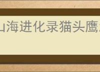 山海进化录猫头鹰怎么进化,山海进化录猫头鹰卡等级怎么办