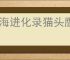 山海进化录猫头鹰怎么进化,山海进化录猫头鹰卡等级怎么办
