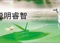 聪明睿智