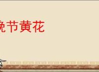 晚节黄花
