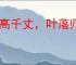 树高千丈，叶落归根