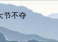 大节不夺